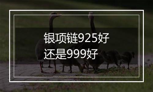 银项链925好还是999好