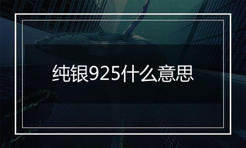 纯银925什么意思