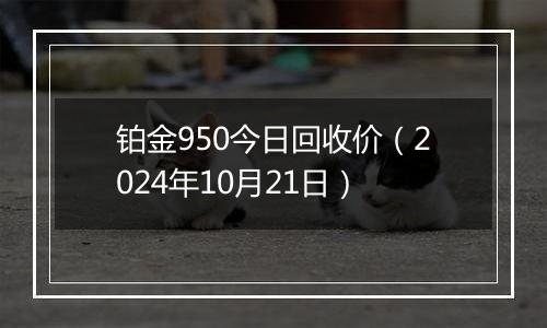 铂金950今日回收价（2024年10月21日）