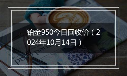 铂金950今日回收价（2024年10月14日）