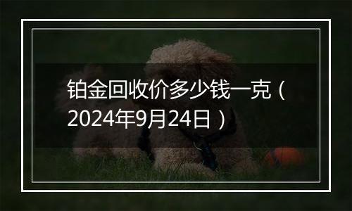 铂金回收价多少钱一克（2024年9月24日）