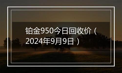 铂金950今日回收价（2024年9月9日）