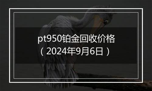 pt950铂金回收价格（2024年9月6日）