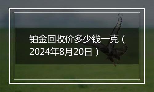 铂金回收价多少钱一克（2024年8月20日）