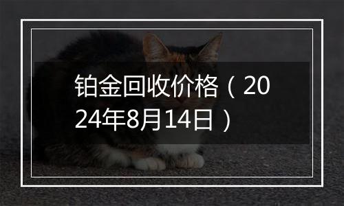 铂金回收价格（2024年8月14日）