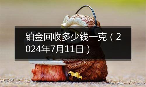 铂金回收多少钱一克（2024年7月11日）