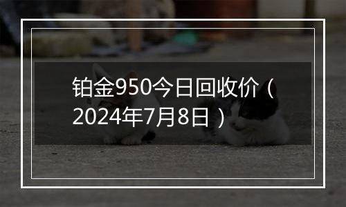 铂金950今日回收价（2024年7月8日）