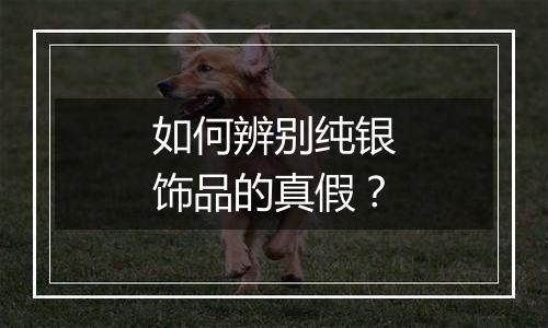 如何辨别纯银饰品的真假？