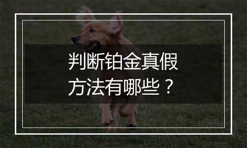 判断铂金真假方法有哪些？