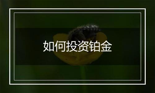 如何投资铂金