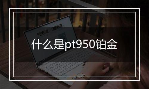 什么是pt950铂金