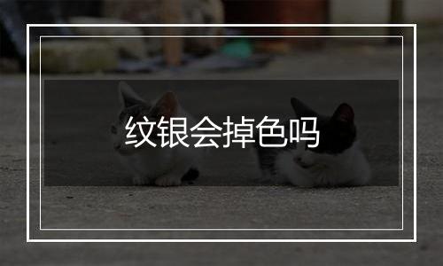 纹银会掉色吗