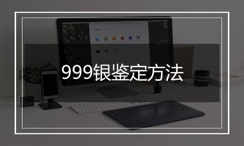 999银鉴定方法