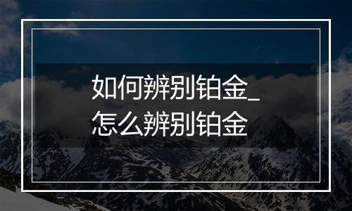 如何辨别铂金_怎么辨别铂金