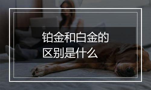 铂金和白金的区别是什么