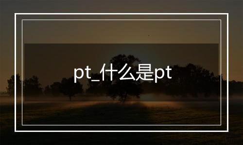 pt_什么是pt