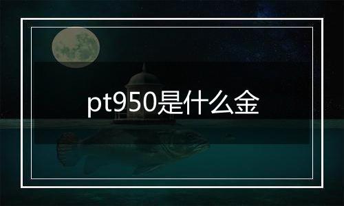 pt950是什么金