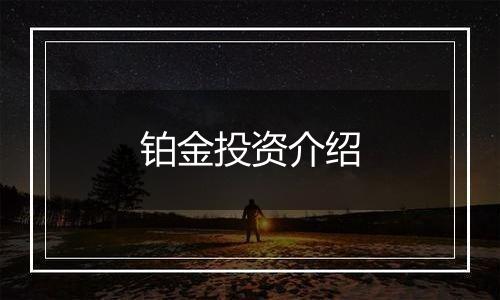 铂金投资介绍