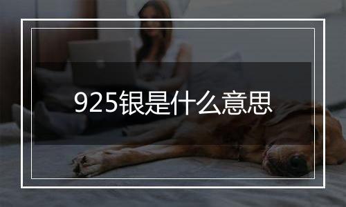 925银是什么意思