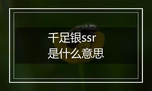 千足银ssr是什么意思