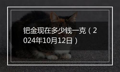 钯金现在多少钱一克（2024年10月12日）