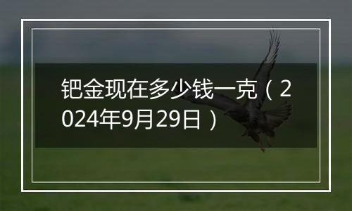 钯金现在多少钱一克（2024年9月29日）