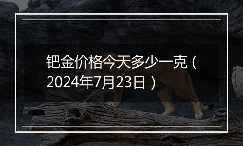 钯金价格今天多少一克（2024年7月23日）