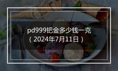 pd999钯金多少钱一克（2024年7月11日）