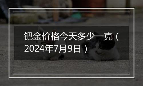 钯金价格今天多少一克（2024年7月9日）