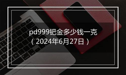 pd999钯金多少钱一克（2024年6月27日）