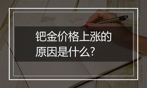 钯金价格上涨的原因是什么?