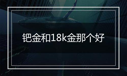 钯金和18k金那个好