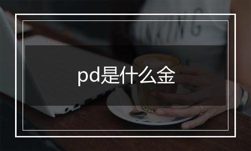 pd是什么金