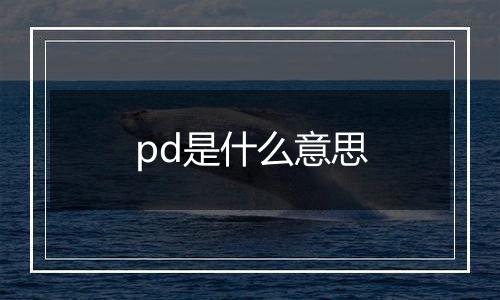 pd是什么意思