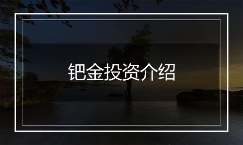 钯金投资介绍