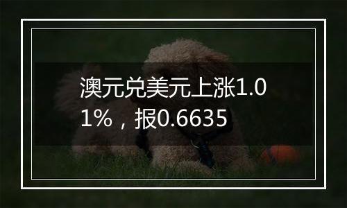 澳元兑美元上涨1.01%，报0.6635