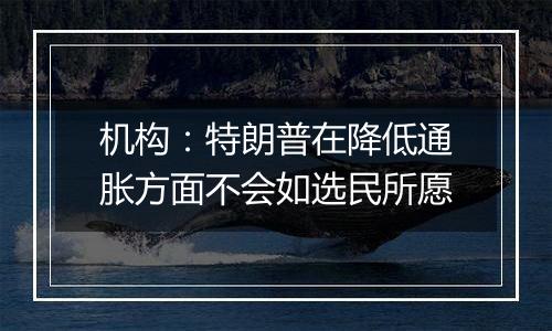 机构：特朗普在降低通胀方面不会如选民所愿