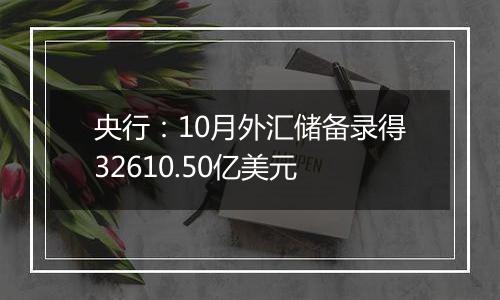 央行：10月外汇储备录得32610.50亿美元