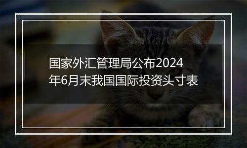 国家外汇管理局公布2024年6月末我国国际投资头寸表