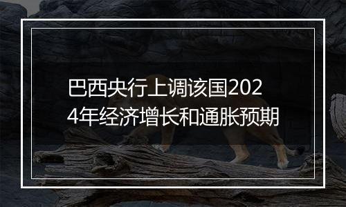 巴西央行上调该国2024年经济增长和通胀预期