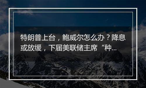 特朗普上台，鲍威尔怎么办？降息或放缓，下届美联储主席“种子选手”呼吁领导层中立