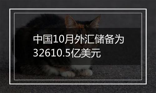 中国10月外汇储备为32610.5亿美元