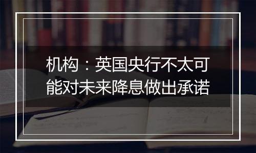 机构：英国央行不太可能对未来降息做出承诺