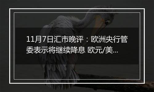 11月7日汇市晚评：欧洲央行管委表示将继续降息 欧元/美元维持在1.075上方