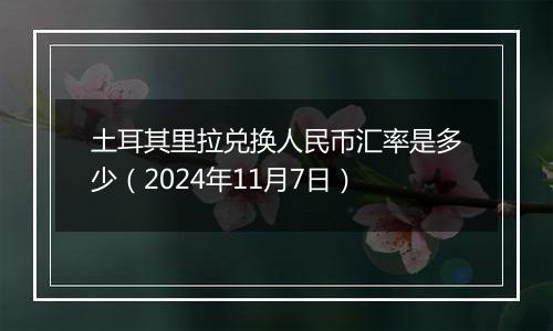 土耳其里拉兑换人民币汇率是多少（2024年11月7日）