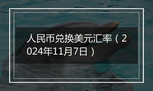 人民币兑换美元汇率（2024年11月7日）