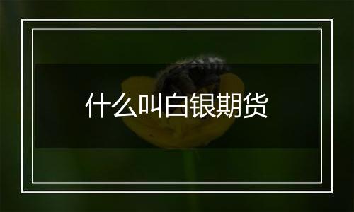 什么叫白银期货