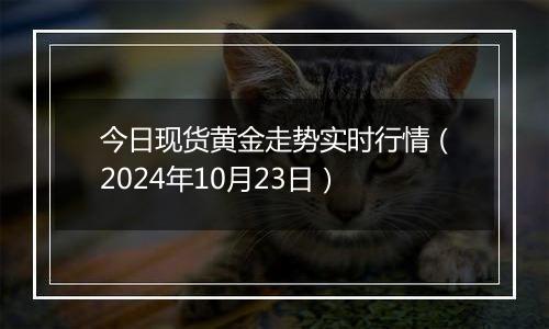 今日现货黄金走势实时行情（2024年10月23日）