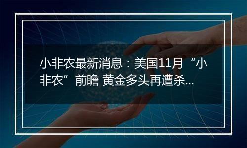 小非农最新消息：美国11月“小非农”前瞻 黄金多头再遭杀戮？