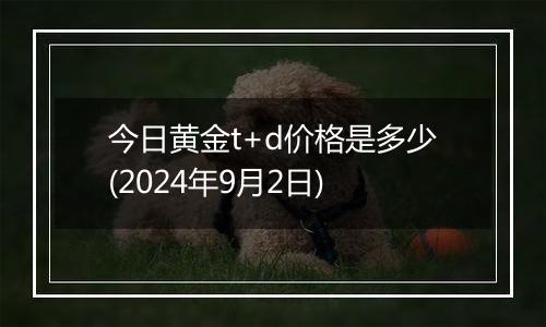 今日黄金t+d价格是多少(2024年9月2日)